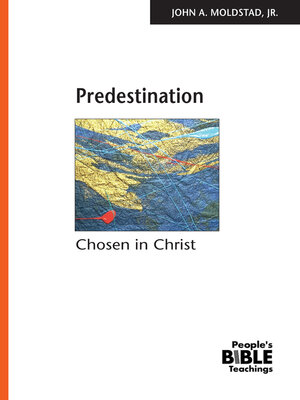 cover image of Predestination